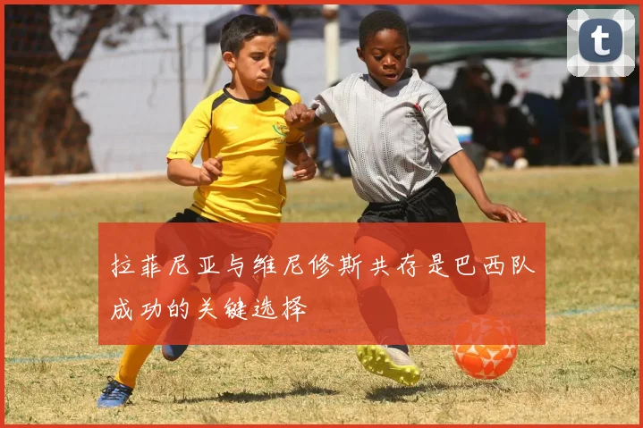 拉菲尼亚与维尼修斯共存是巴西队成功的关键选择
