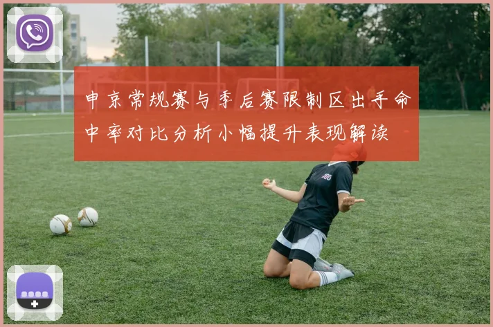 申京常规赛与季后赛限制区出手命中率对比分析小幅提升表现解读